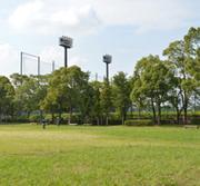 野球場を背景に芝生が広がる牛島公園の写真