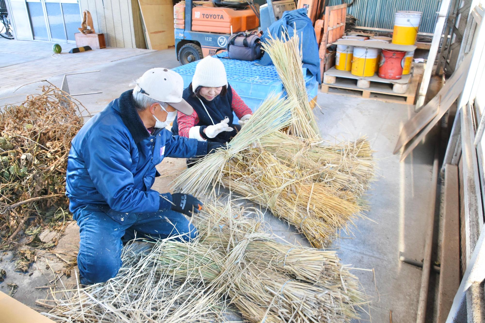 しめ縄作りの材料の稲わらを束ねる様子