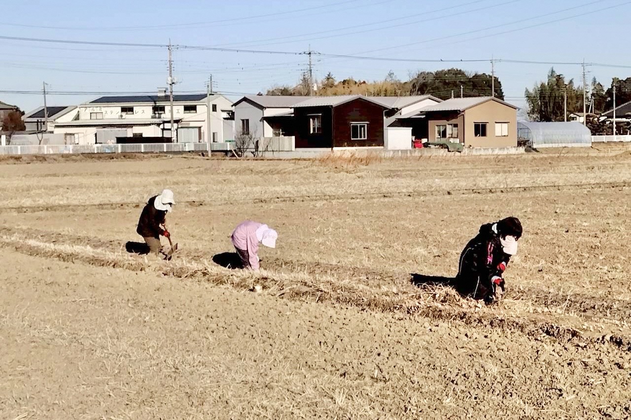 堀さらいをする女性たち