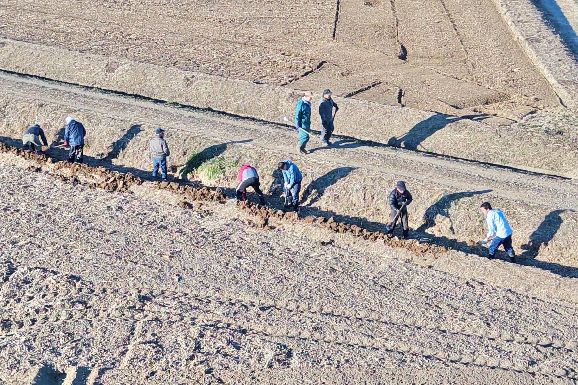 土水路の堀さらい