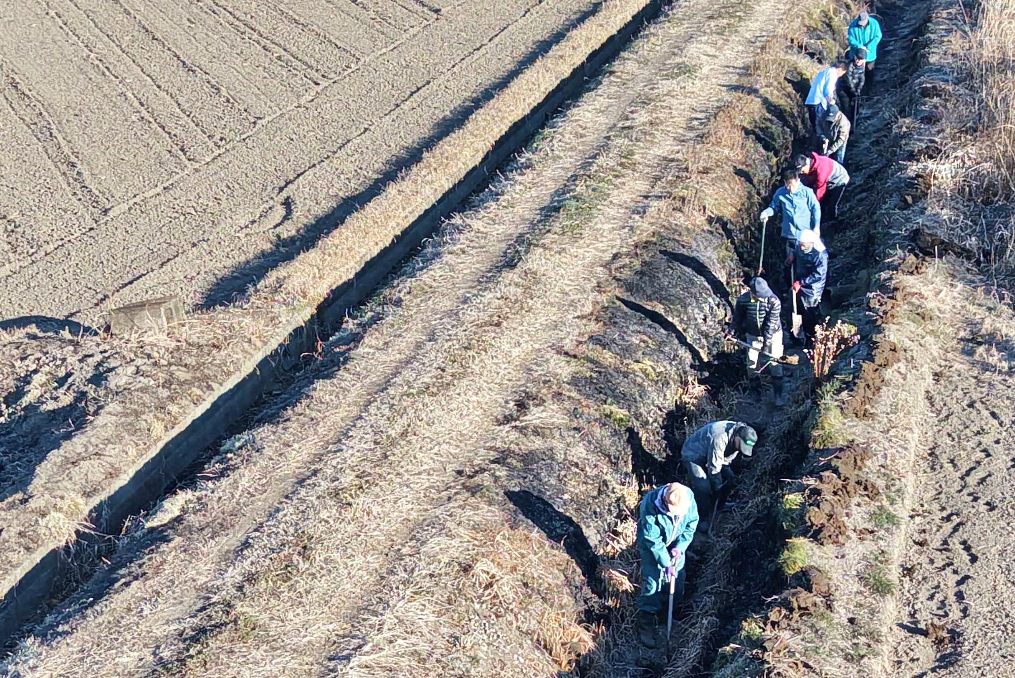 一列に並んで掘さらいをする様子