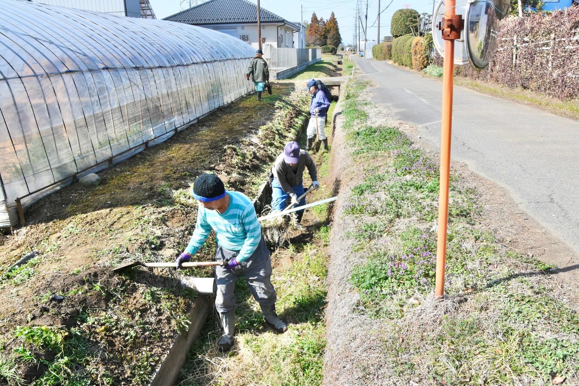 水路底の雑草が成長しないよう泥と一緒に掘り上げる