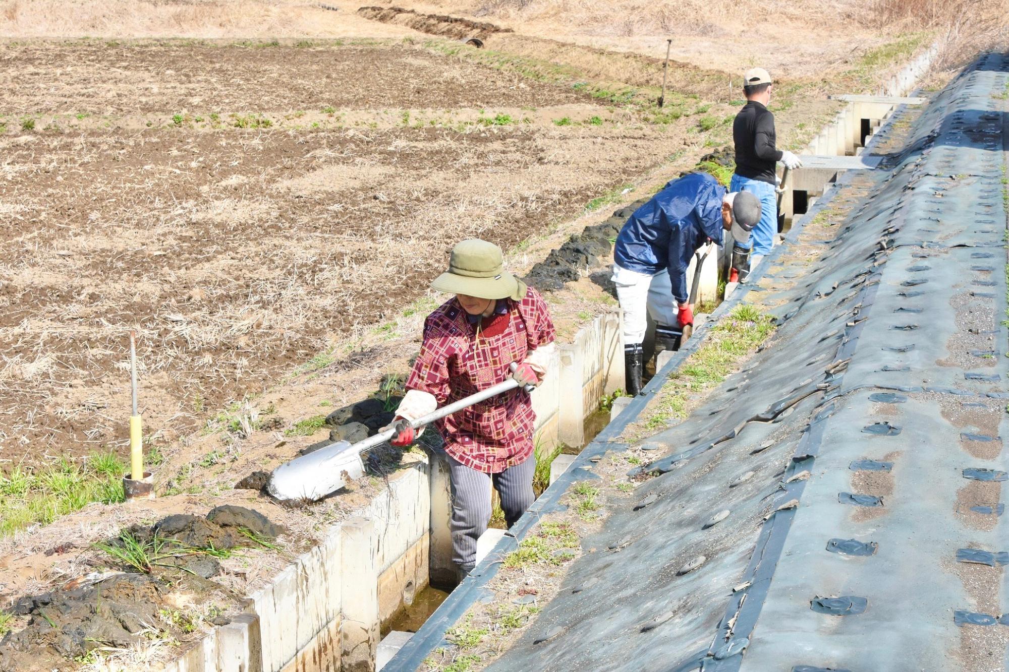 女性も泥上げに参加