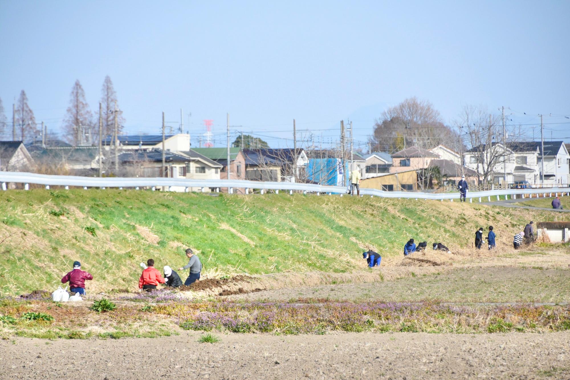 一列に並んで泥上げをする構成員