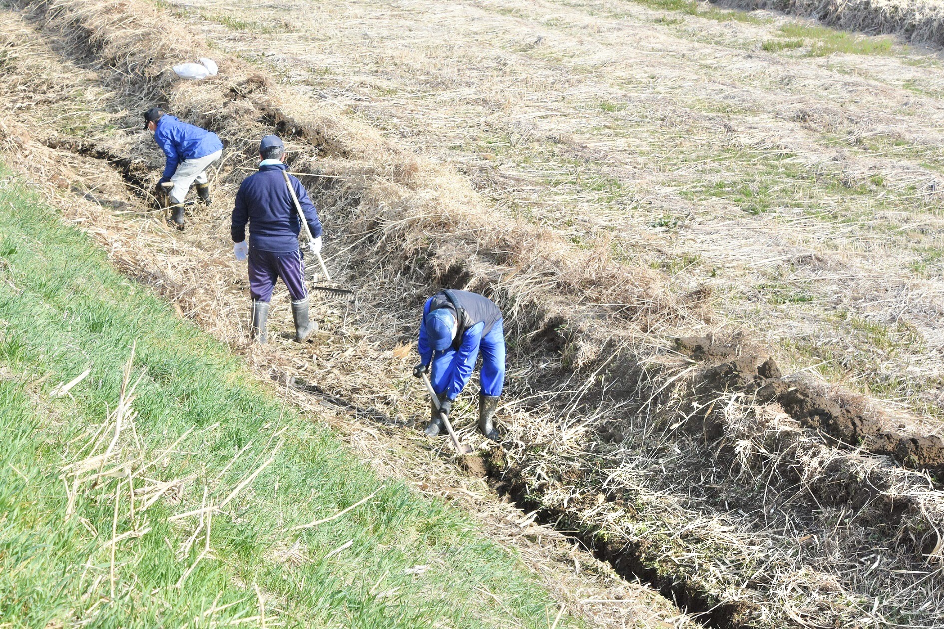 土を掘り進める様子