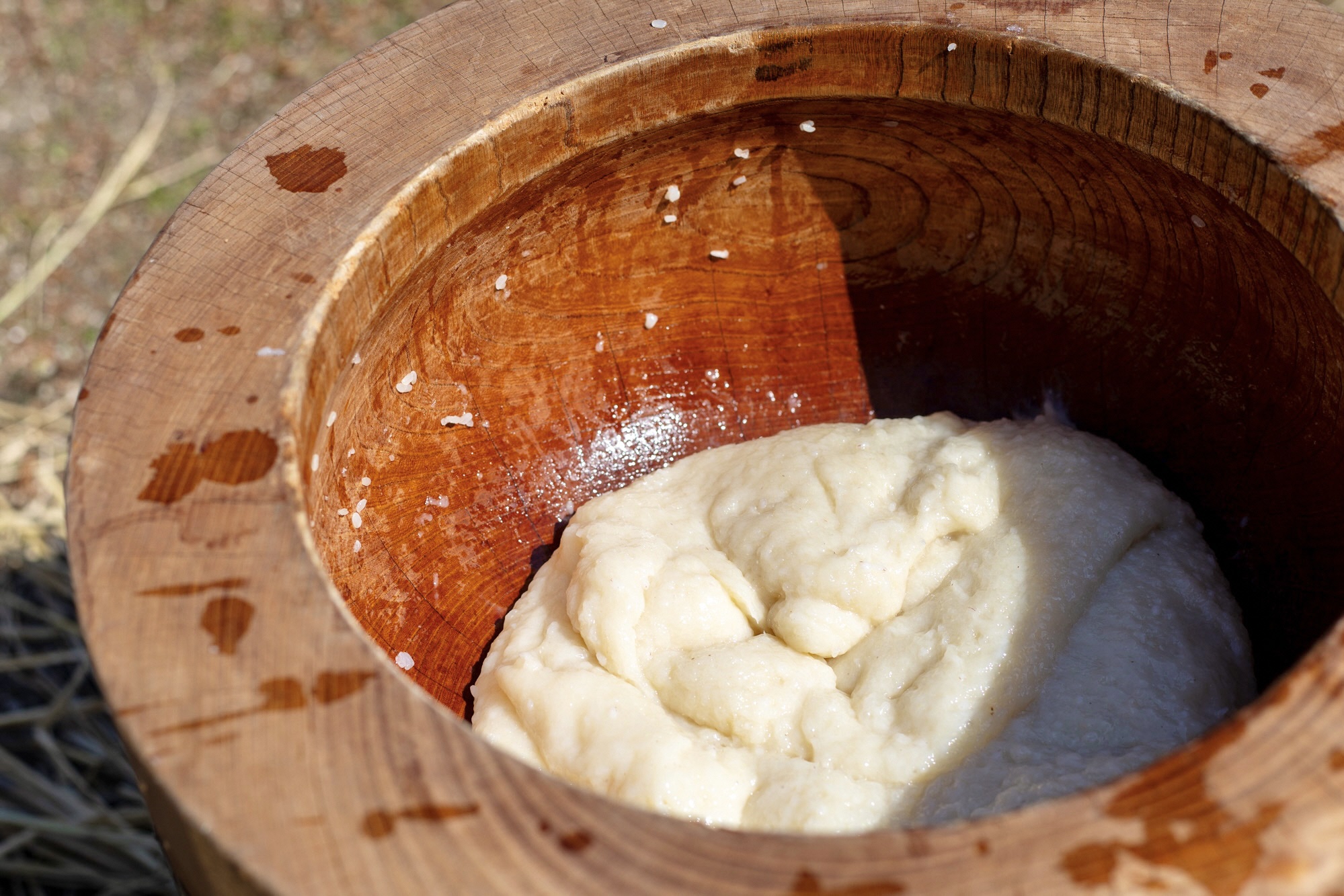 赤米の麹が入った餅