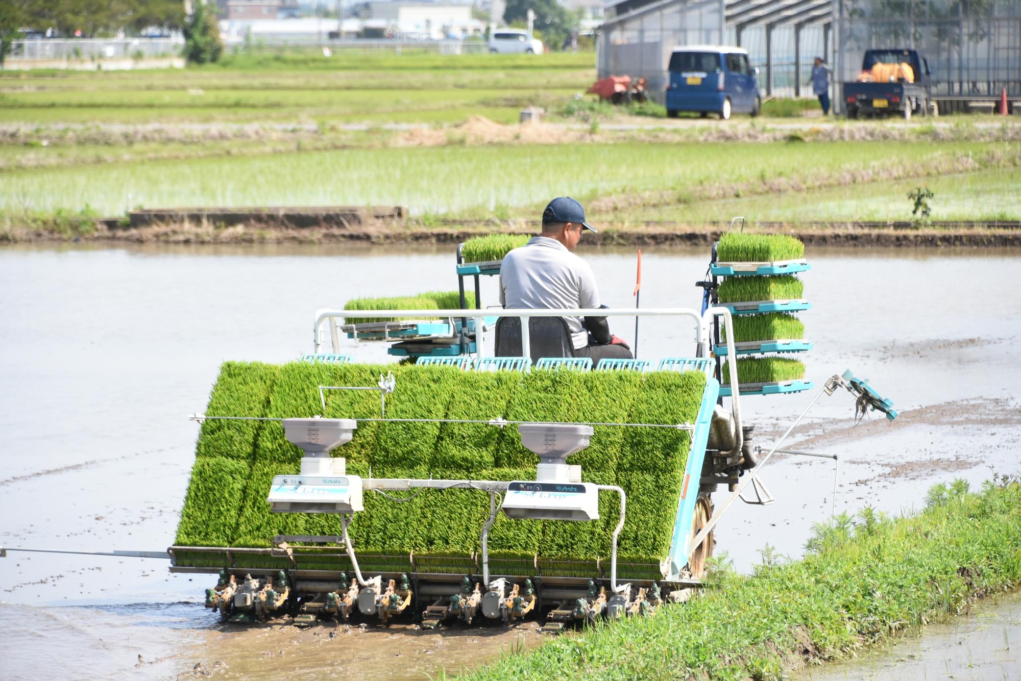 田植え機を用いて田植えをしている写真