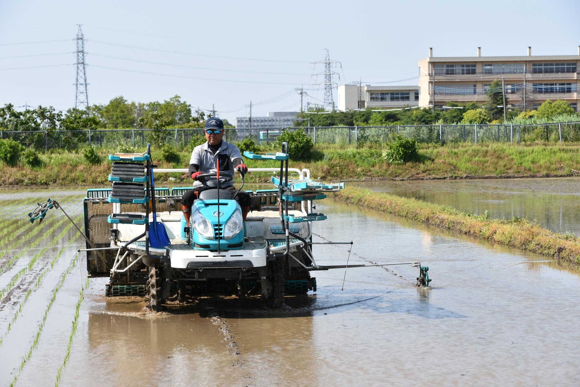 田植え機を用いて田植えをしている写真