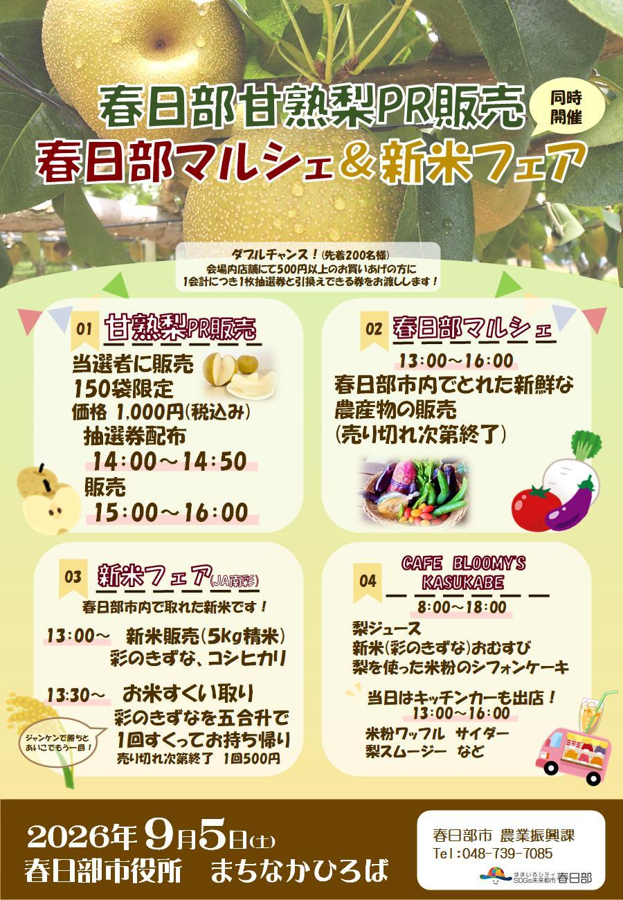 春日部甘熟梨PR販売チラシ