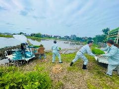 笑みたわわの苗箱を運ぶ様子