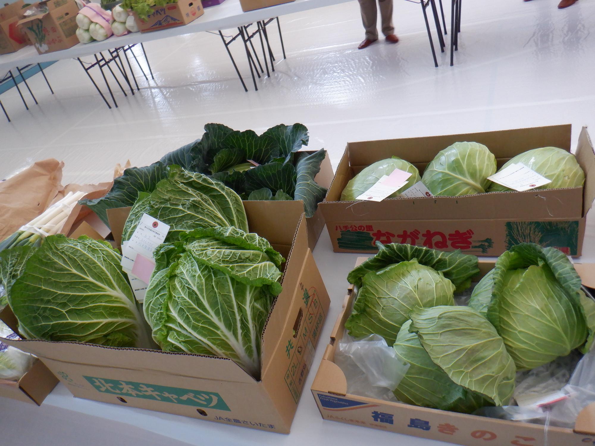 たくさんの野菜