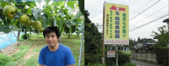 青いTシャツ姿の生産者と、果樹園入り口の看板などを映した写真が2枚並んでいる写真