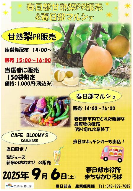 梨PR販売チラシ