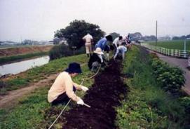 旧倉松落第二調節池の東側土手で花植え作業をしている参加者たちの写真