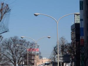 青空の下に街路樹やビルを背景に並んでいる道路照明灯の写真
