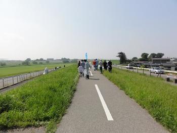 青空の下、まっすぐ伸びた江戸川沿いの道をゴミなどを拾って歩く参加者たちの様子の写真