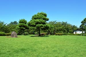 一の割公園の広場の写真。芝生の敷かれた敷地内に岩や松等の木々が配されている様子が確認できる