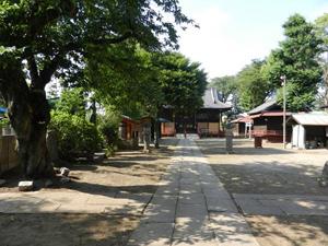 春日部市内にある檜板の瓦屋根が特徴的な西金野井香取神社の本殿正面を参道から撮影した写真