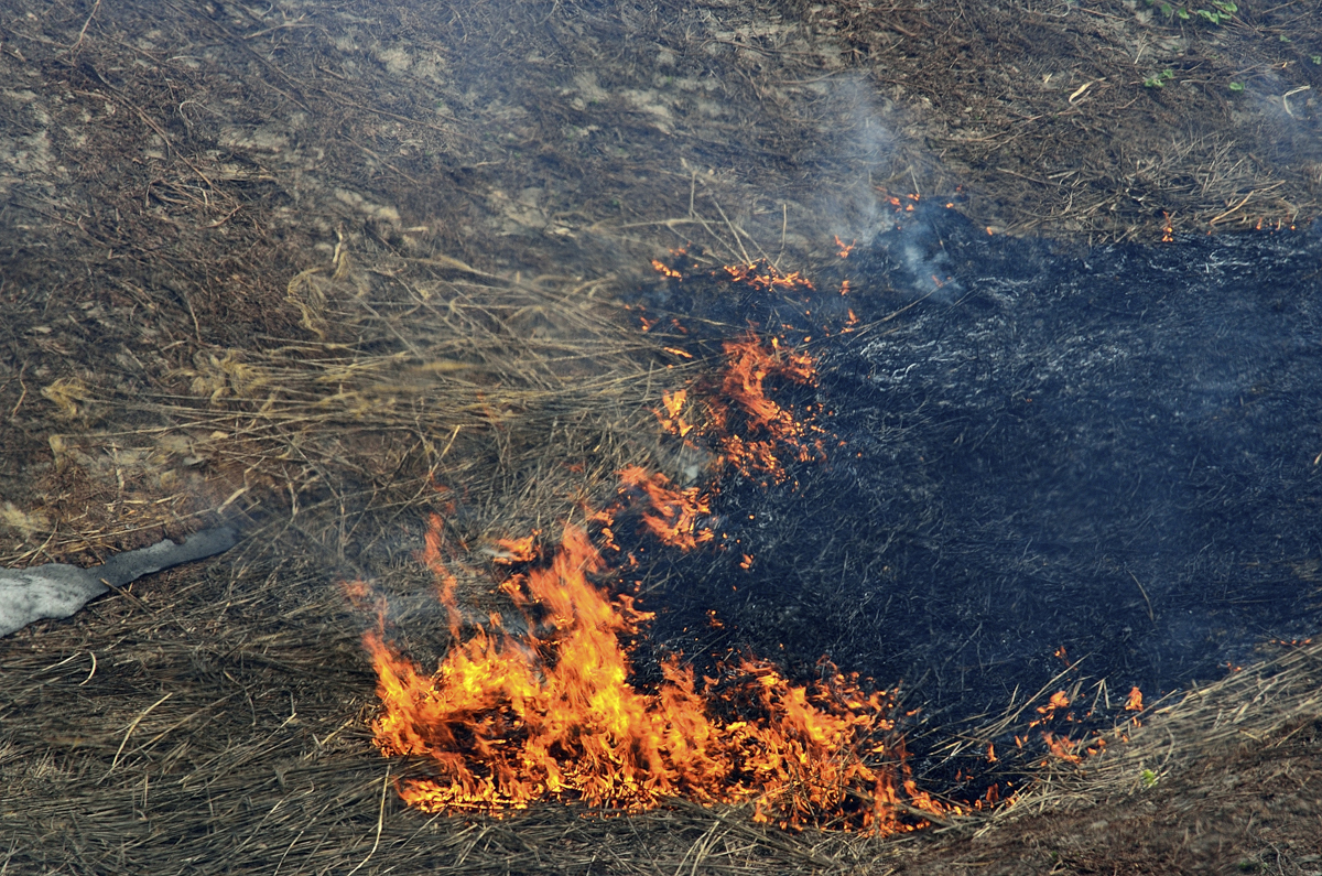 野焼きの参考写真
