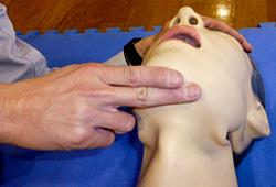 救助訓練用人形の顎先に二本の指を当てている様子の写真
