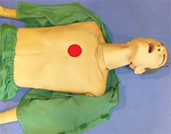 赤い丸のマークを胸に記して胸骨圧迫部位を指し示している写真