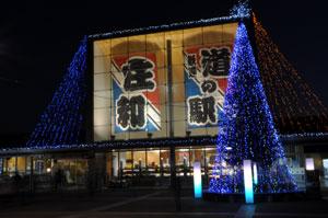 「庄和」「道の駅」とそれぞれ書かれた飾りが展示され、近くにライトアップされた樹木が立っている庄和のイルミネーション写真