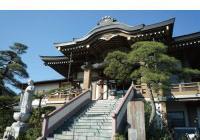 緑の木と、和風建築の建物がある東陽寺の外観の写真