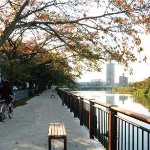川沿いのベンチと、木々が立ち並んでいる古利根川遊歩道が写っている写真