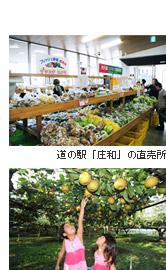 上写真：野菜が並んでいる売り場の写真に、道の駅「庄和」の直売所と注意書きされている写真、下写真：女の子ふたりが手を伸ばして梨を収穫している、ナシの収穫体験の写真