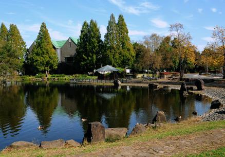 大きな池を囲むように緑の木々が立ち並んでいる庄和総合公園の風景写真