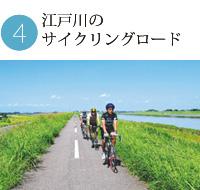 三名の人物が一列に並んで走行している江戸川のサイクリングロードの写真