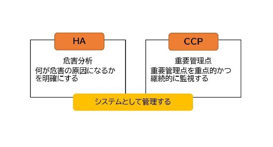 HACCP（ハサップ）の概念図