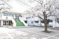 桜が咲いている奥に見える「豊春小学校」の写真（「豊春小学校」のサイトへリンク）