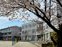 桜が咲いている奥に見える「粕壁小学校」の写真（「粕壁小学校」のサイトへリンク）
