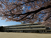 桜が咲いている奥に見える「内牧小学校」の写真（「内牧小学校」のサイトへリンク）