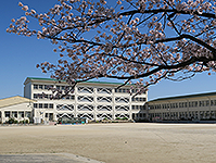 桜が咲いている奥に見える「備後小学校」の写真（「備後小学校」のサイトへリンク）