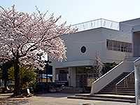 桜が咲いている奥に見える「上沖小学校」の写真（「上沖小学校」のサイトへリンク）