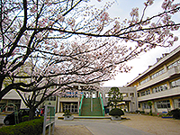 桜が咲いている奥に見える「立野小学校」の写真（「立野小学校」のサイトへリンク）