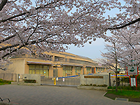 桜が咲いている奥に見える「武里南小学校」の写真（「武里南小学校」のサイトへリンク）