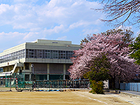 広いグラウンドに桜が咲いている奥に見える「春日部中学校」の写真（「春日部中学校」のサイトへリンク）