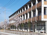 桜が咲いている奥に見える「東中学校」の写真（「東中学校」のサイトへリンク）