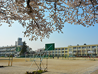 広いグラウンドにバスケットゴールが設置されている「豊春中学校」の写真（「豊春中学校」のサイトへリンク）