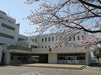 桜が咲いている奥に見える「葛飾中学校」の写真（「葛飾中学校」のサイトへリンク）