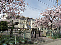 桜が咲いている奥に見える「飯沼中学校」の写真（「飯沼中学校」のサイトへリンク）