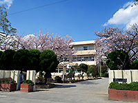 校門の両脇に桜が咲いている奥に見える「春日部南中学校」の写真（「春日部南中学校」のサイトへリンク）
