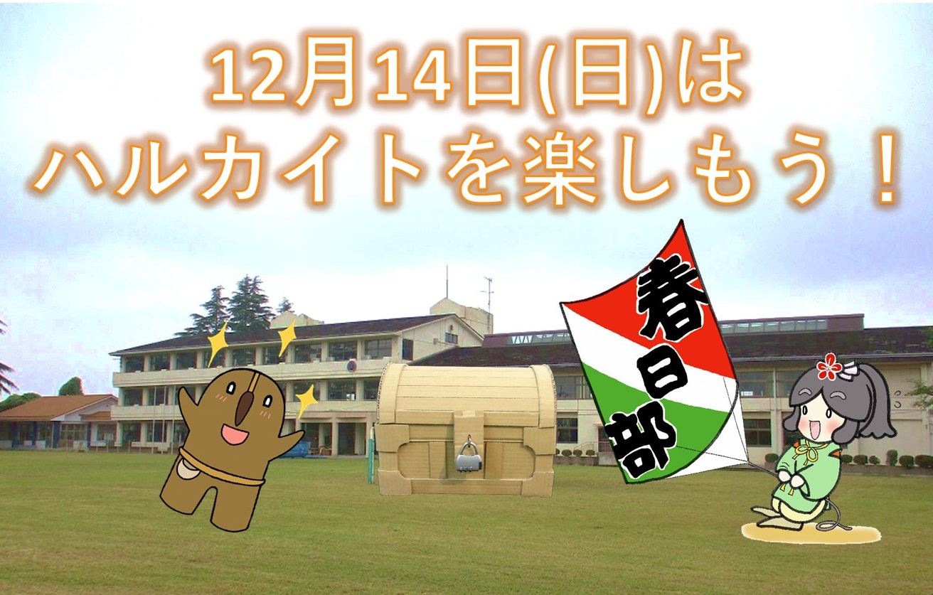 ハルカイトを楽しむ日PR画像