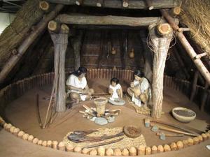 縄文時代の竪穴式住居復元模型の写真