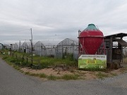 豊かな自然に囲まれた農園です。